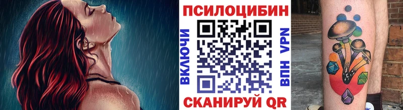KRAKEN tor  Белозерск  Галлюциногенные грибы мицелий  где продают наркотики 